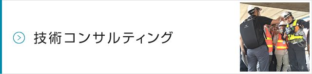 技術コンサルティング