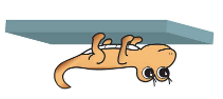 やもりんイラスト